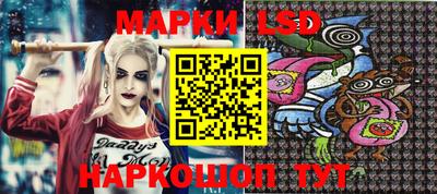 прущие грибы Новозыбков