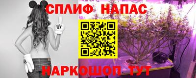 соль ск Новокубанск
