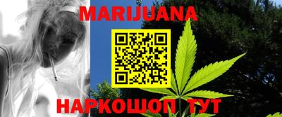 прущие грибы Новозыбков
