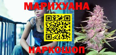 прущие грибы Новозыбков