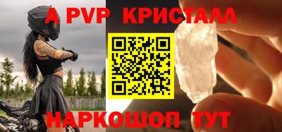 прущие грибы Новозыбков
