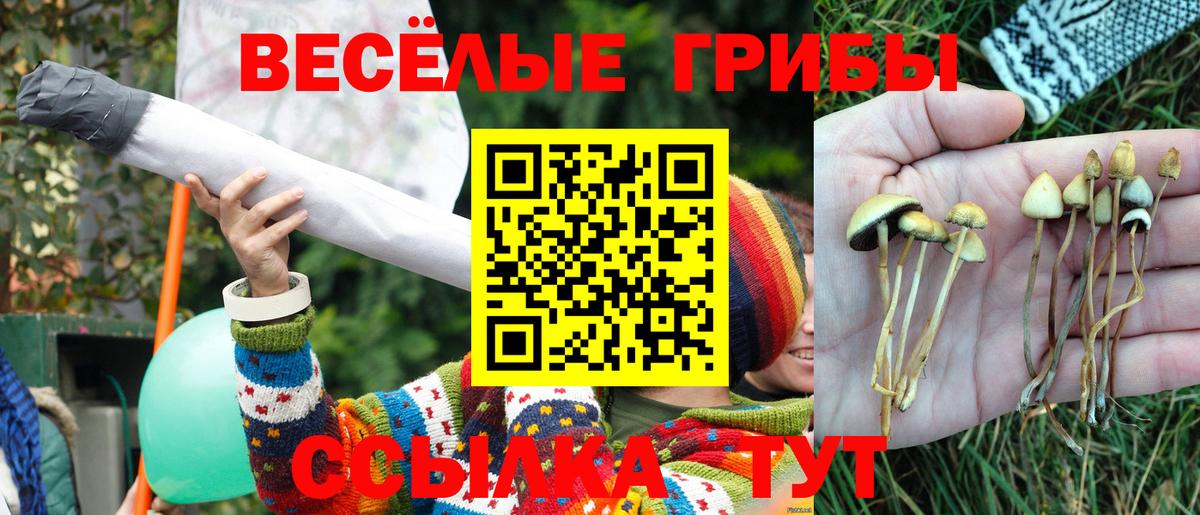 Галлюциногенные грибы MAGIC MUSHROOMS  Вход с VPN  Славянск-на-Кубани 